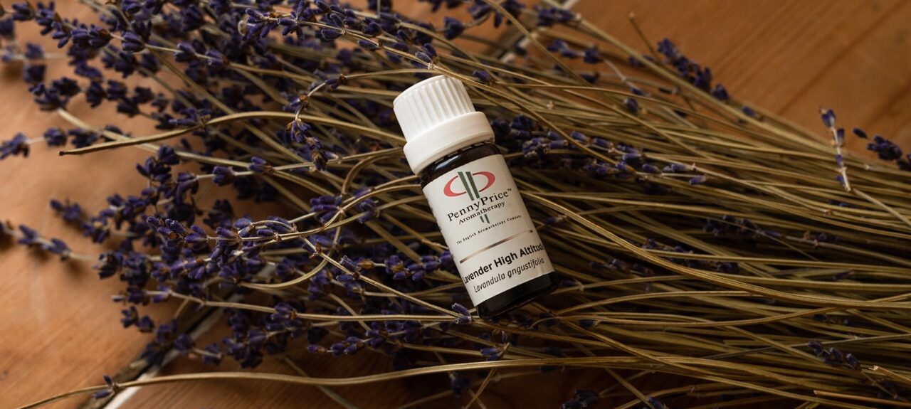 Lavender Essential Oil and dried lavender. Julia Walder will often use lavender during her massage treatment as it's a very versatile oil which blends well. Aromatherapy in Pregnancy